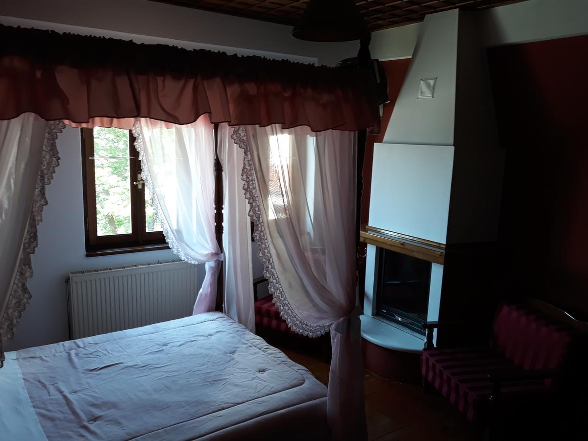 Mansion Theodora Hotel Makrinitsa Exterior photo