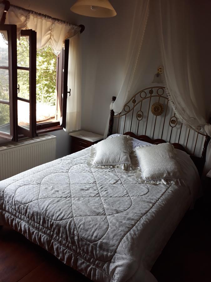 Mansion Theodora Hotel Makrinitsa Exterior photo